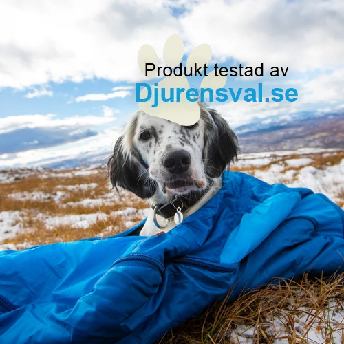 Sovsäck för hund bäst i test